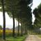 Poggio alle Vigne-18