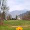 Verde Pieve-18