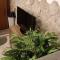 D'Amico Home Experience - Frosinone Centro-29