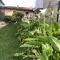 Casa Sivori sul lago di Garda con ampio giardino-25