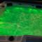 Lolìa Farmhouse with Olive Grove and Hot Tub-25