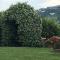 Lolìa Farmhouse with Olive Grove and Hot Tub-28