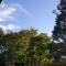 B&B Corte Bezzetti-36