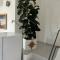 Villa Carlotta la Maddalena-34