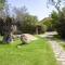 Seaside Villa in Porto Rotondo + Shared Pool-13