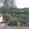 Camping Fiori di Noto-9