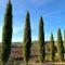 Podere Sole-40
