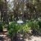 Rosanna House in Bombarde Beach-46