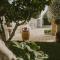 Villa Patrizia Salento B&B-53