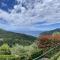 Corner of Paradise Moneglia-81