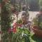 Il giardino di zio Pino-33