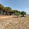 Camping Cammello Grigio-3