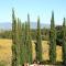 Agriturismo Gli Archi-25