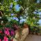 Amoroso's house, affittacamere-32