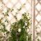 Chicca's Rooms-41