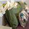Apartment Verdemare by Interhome-22