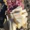 Appartamento Sulcis Sardegna-63