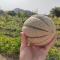 Appartamento Sulcis Sardegna-40