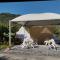 Camping Gole Alcantara-6