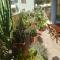 Alghero Lovely Flat-25