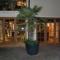 Residence Neuprantl-5