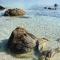 Beach House Ilaria- Smeraldo Apt-27