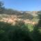 Relax nel verde-26