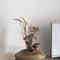 Aurelia 386 Vatican House-33