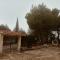 Villa Shanti a Romitello - "RUSTIC" & "ETHNIC" apartments-27