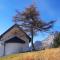CAMPO BASE CADORE con parcheggio auto e garage moto-20
