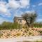 Amazing Home In Morrovalle With Wifi-4