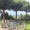 Rome's hills and Jubilee locations with style-44