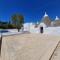 Trulli au milieu d'un champ d'oliviers avec piscine-32