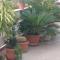 B&B GANAJ La terrazza di Ganaj BARI-43