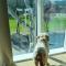 Otium casa vacanze-servizio spiaggia incluso a 250 mt-struttura pet friendly-84