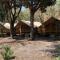 Il Pampaleone Glamping and Resort-14