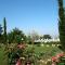 Your relaxing Tuscan getaway-46
