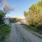 Dhamma Home - Goelba-17