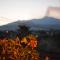 B&B L' Aquila dell' Etna-35