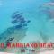 Villetta con piscina e ampio giardino-45