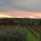 Podere Marella-12