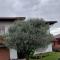 B&B Ponte Marchese-6