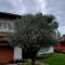B&B Ponte Marchese-12