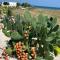 Masseria Ostuni Mare Agri Resort-87