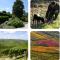 Cascina Albarella-17
