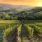 Vigna Home Amazing Site Chianti Classico - Happy Rentals-34