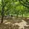 Vesuvius Penthouse Stay near Pompei & Amalfi Coast-11