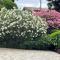 Bed & Breakfast L'Albero Maestro-58