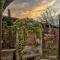 Cuore di vigna in Umbria-25