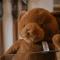La Tana dell'Orso Bormio - Nature and Welness-4